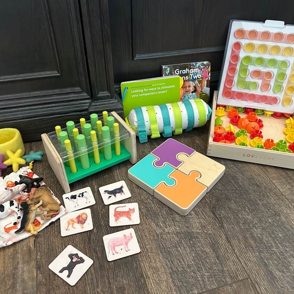 Lovevery The Companion Play Kit